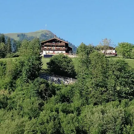 Apartment-Chalet Moedlinghof Hopfgarten im Brixental Exterior foto