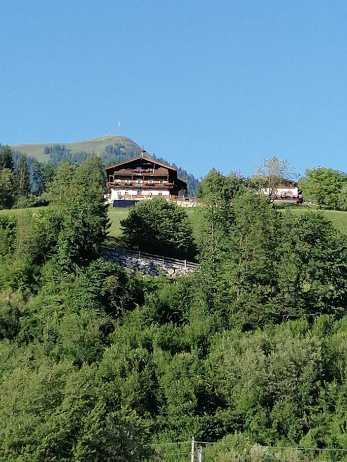 Apartment Apartment-chalet Moedlinghof *