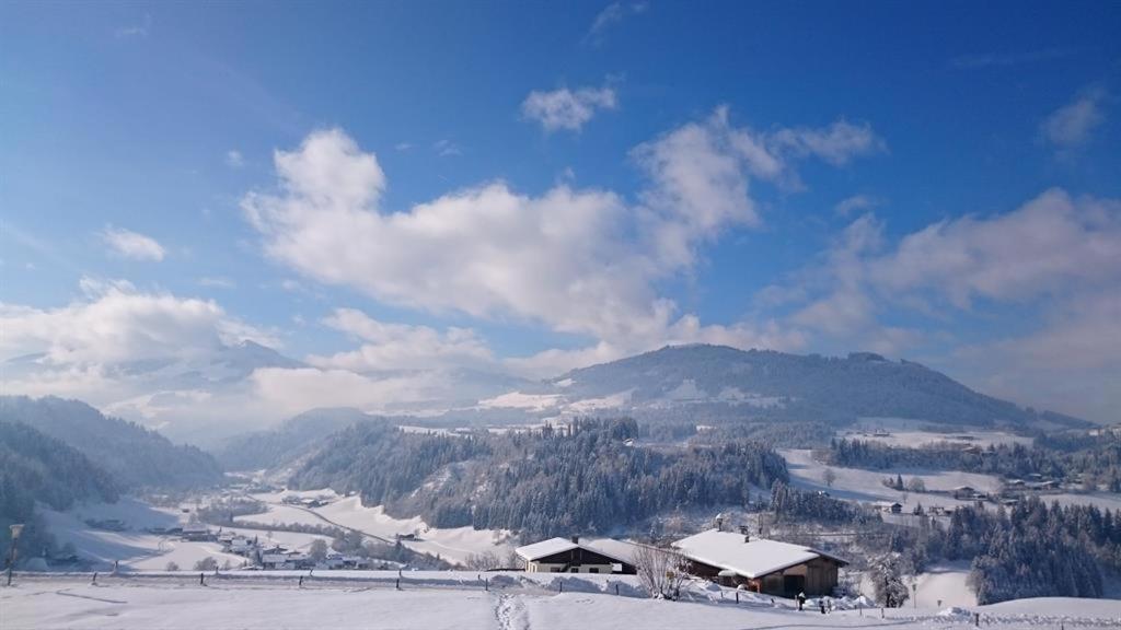 Apartment-chalet Moedlinghof *