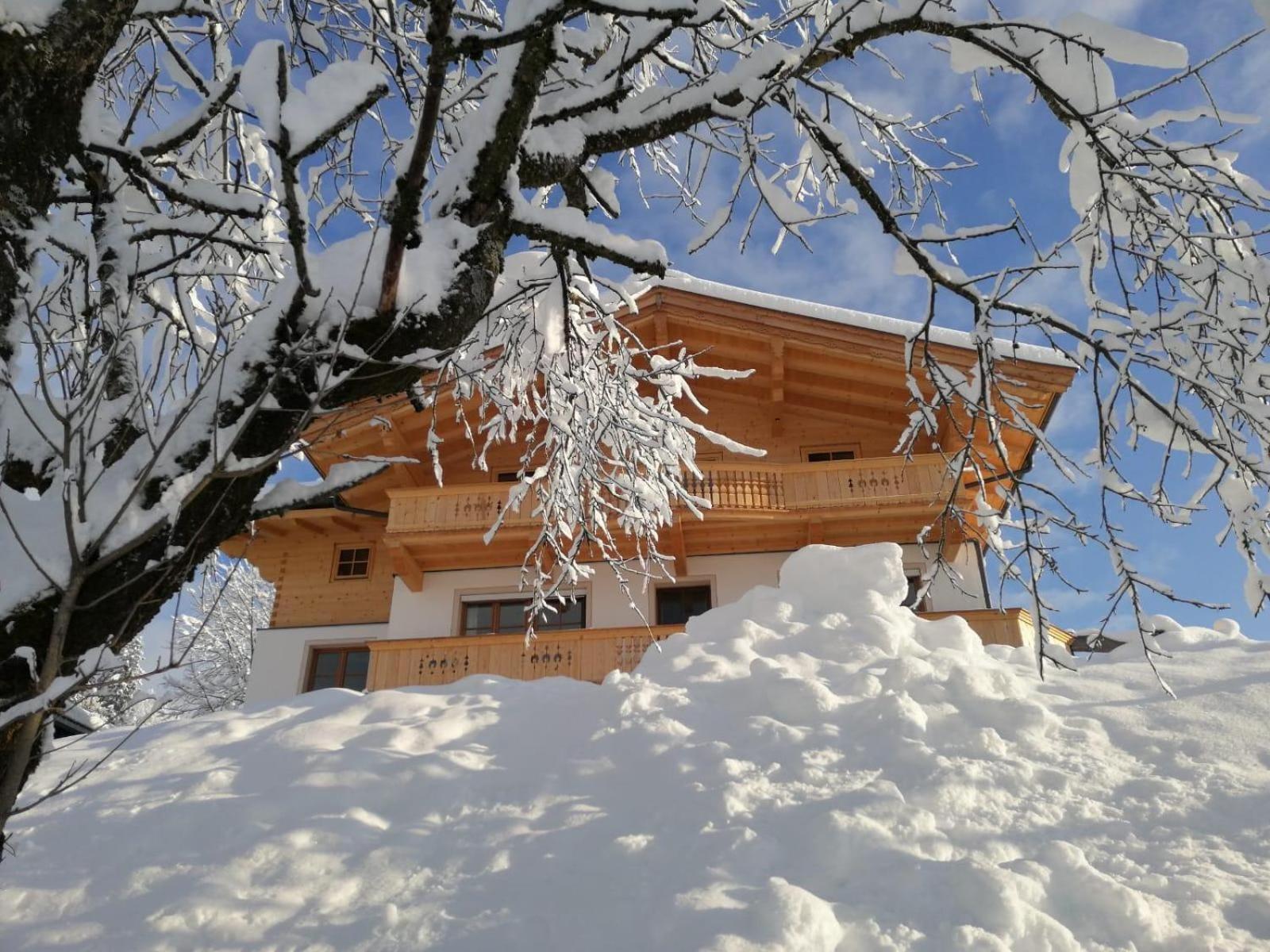 Apartment Apartment-chalet Moedlinghof Hopfgarten im Brixental